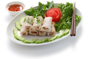 net spring rolls, chao gio re, vietnamese cuisine