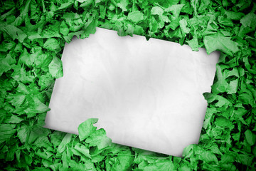 White poster buried into green leaves
