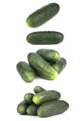 cucumber