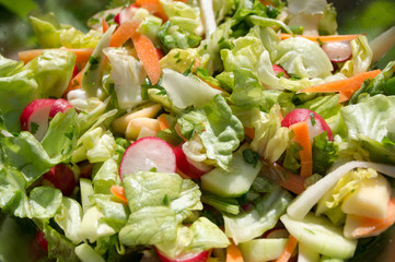 garden salad