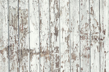 Wooden background