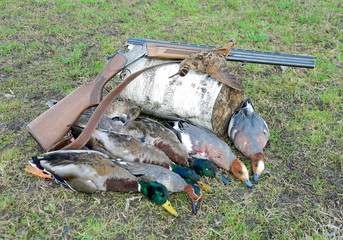 trophy hunter. ducks, woodcock and hunting rifle.