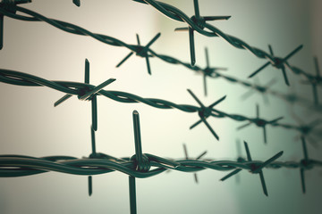 Perspective view of new barbed wire.