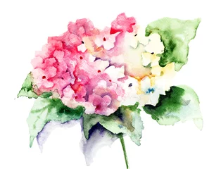 Papier Peint photo autocollant Hortensia Belles fleurs roses d& 39 hortensia