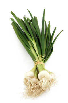 botte de petits oignons blancs en long 2