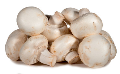 Champignons