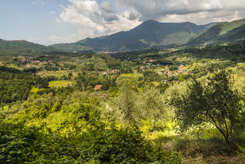 Naklejka na ściany i meble Krajobraz w pobliżu Camaiore (Toskania)
