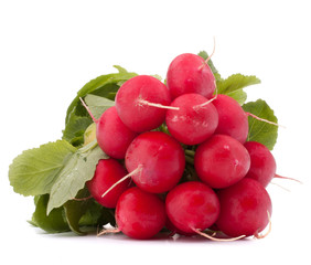 Small garden radish with leaves