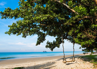 Wooden swing on a tree on a tropical beach