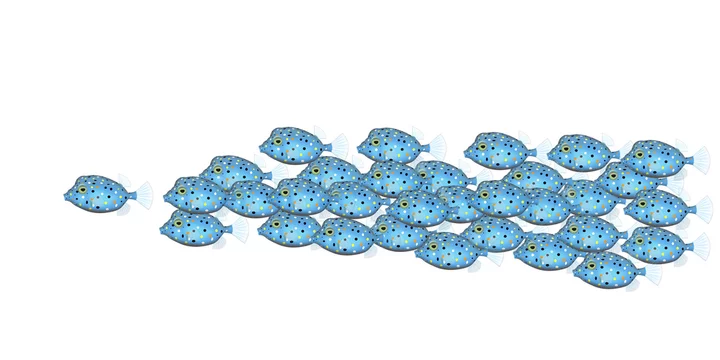 ミナミハコフグ 魚群b Stock イラスト Adobe Stock