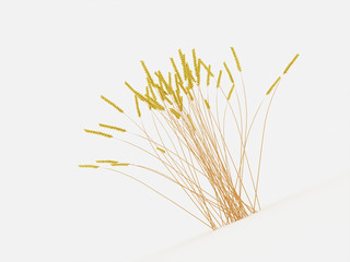 Obraz premium Grain isolated rendered