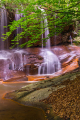 Cascada con hojas verdes