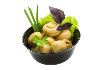 Ripe fresh Champignon