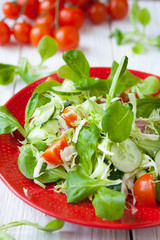Fresh salad with lettuce and other vegetables