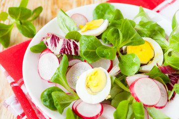 nutritious fresh salad with egg and radish
