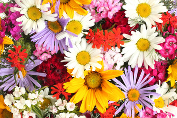 mooi boeket van heldere wilde bloemen, close-up