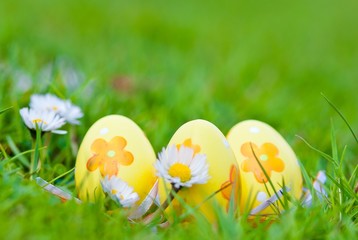 Drei gelbe Ostereier mit Blümchen liegen auf einer Wiese mit Gänseblümchen, Ostern, Deutschland, Europa
