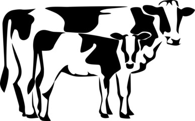 cow with calf © bokononist