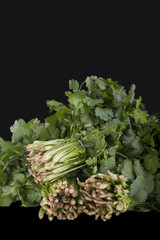 bunches of green coriander