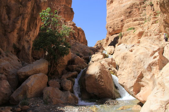 vallée des roses, Maroc