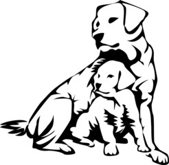 retriever with puppy