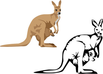 kangaroo with young