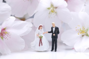 桜と新郎新婦