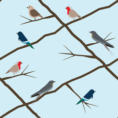 Vector seamless Birds Background