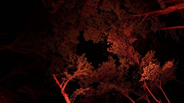 Time lapse of the night sky with clouds and stars passing by beh