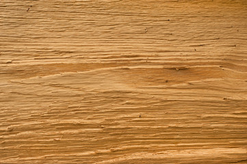 Fototapeta premium wood texture