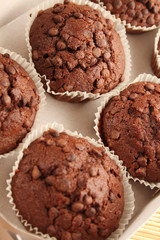 Chocolate muffins