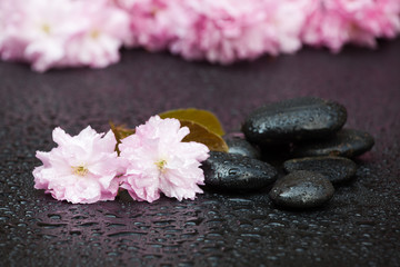Fototapeta na wymiar Masaż kamieniami i różowe kwiaty wiśni