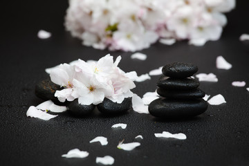 Obraz na płótnie Canvas Wiśniowe kwiaty i kamienie do masażu
