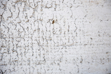 Wall background