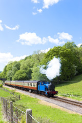 Obraz premium pociąg parowy, Lakeside and Haverthwaite Railway, Cumbria, Anglia