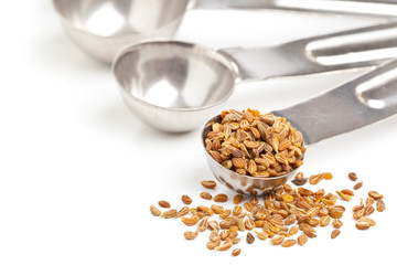 Aniseed