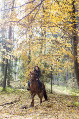 equestrian on horseback in autumnal nature