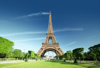 Fototapeta premium Eiffel tower, Paris. France.