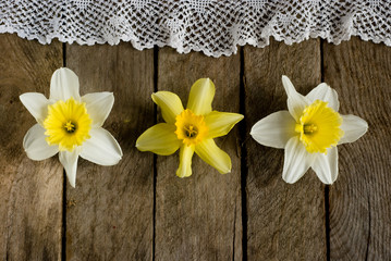 Obraz na płótnie Canvas daffodils and lace on old wooden background