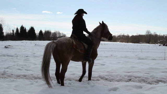 female cowboy rides a horse at a gallop