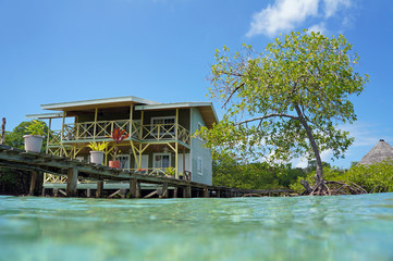 Small tropical hotel with dock over the sea and a mangrove tree seen from water surface, Caribbean, Panama, Central America