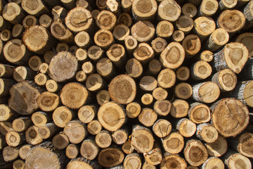 Apilamiento de troncos aserrados