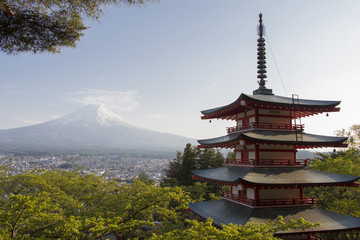 Fototapeta premium Mt. Fuji viewed from behind Chureito Pagoda
