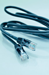 network data cable isolated on the white background..
