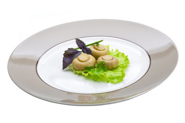 Ripe fresh Champignon