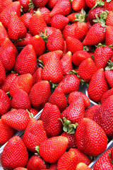 Organic strawberries in a pile