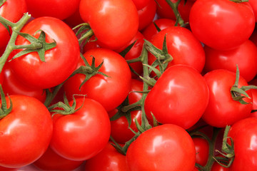 Organic tomatoes in a pile