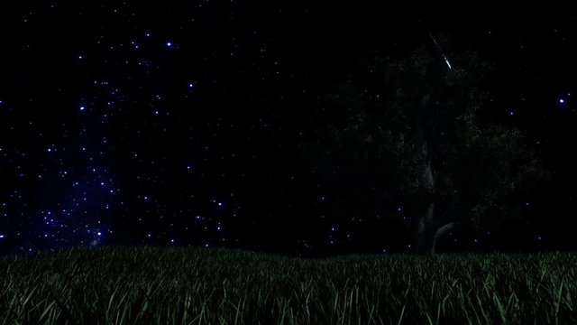 Tree on Green Meadow and Starry Sky, Time Lapse
