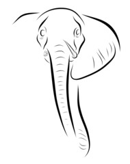 Elephant head