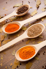 spices - pepper, curry, chilli, caraway